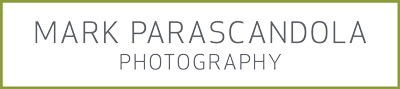 Mark Parascandola logo